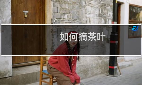 如何摘茶叶