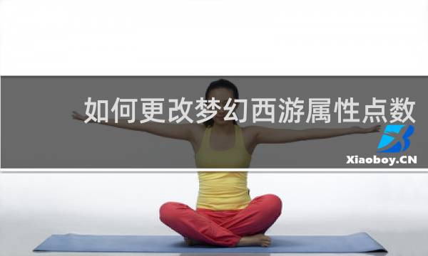 如何更改梦幻西游属性点数