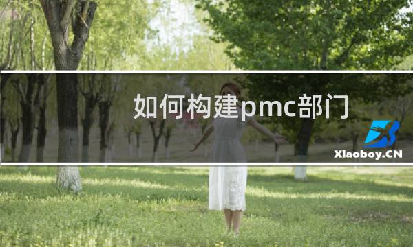 如何构建pmc部门