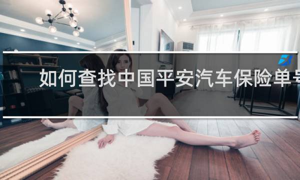 如何查找中国平安汽车保险单号