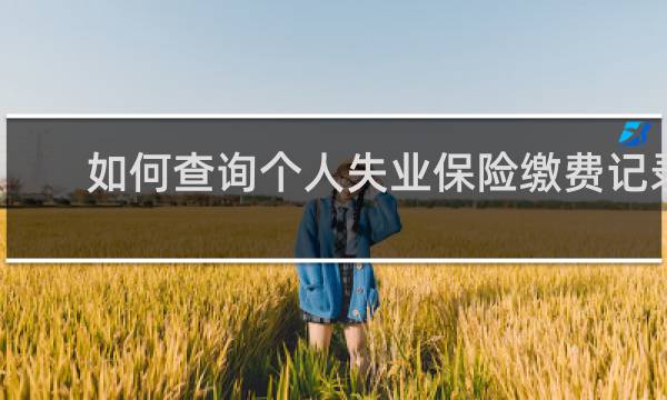 如何查询个人失业保险缴费记录