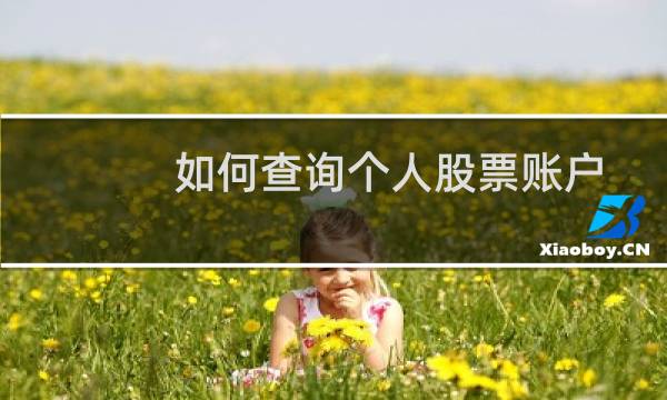如何查询个人股票账户