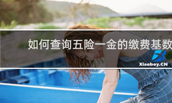 如何查询五险一金的缴费基数