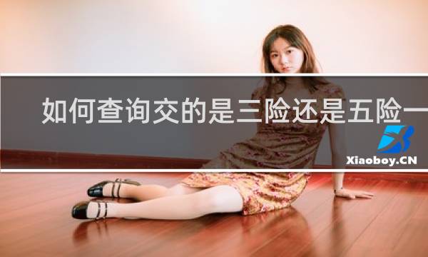 如何查询交的是三险还是五险一金