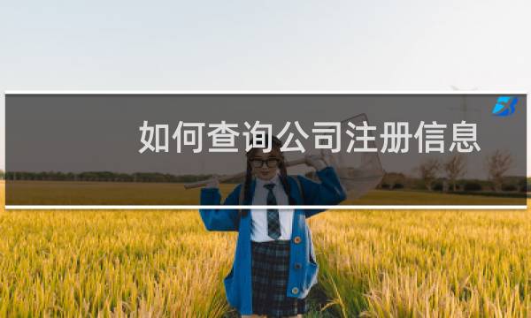 如何查询公司注册信息