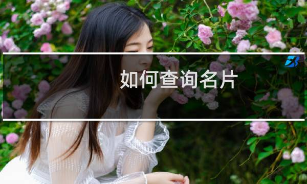 如何查询名片
