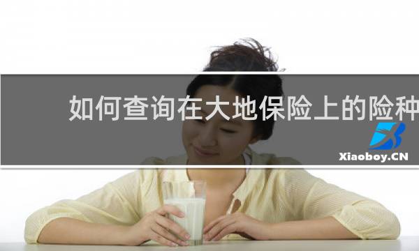 如何查询在大地保险上的险种