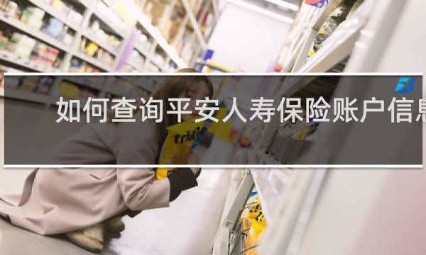 如何查询平安人寿保险账户信息