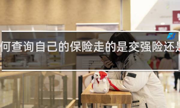 如何查询自己的保险走的是交强险还是商业险