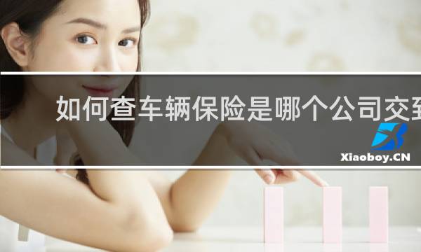 如何查车辆保险是哪个公司交到