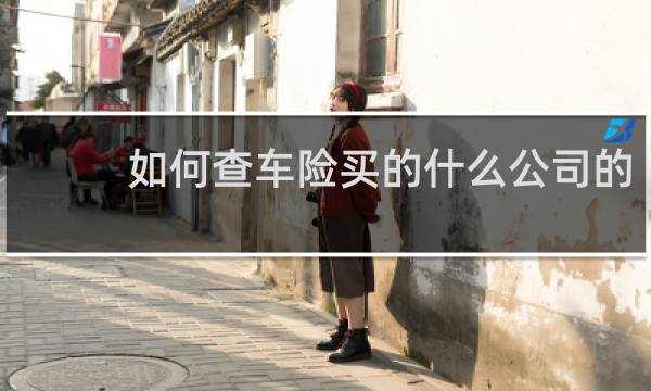 如何查车险买的什么公司的