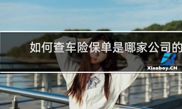 如何查车险保单是哪家公司的