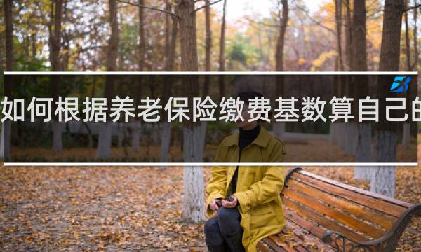 如何根据养老保险缴费基数算自己的工资