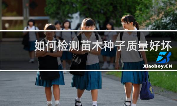 如何检测苗木种子质量好坏