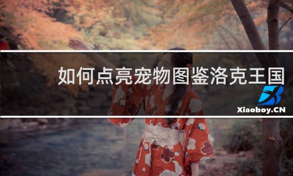 如何点亮宠物图鉴洛克王国
