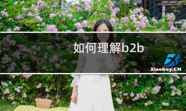 如何理解b2b