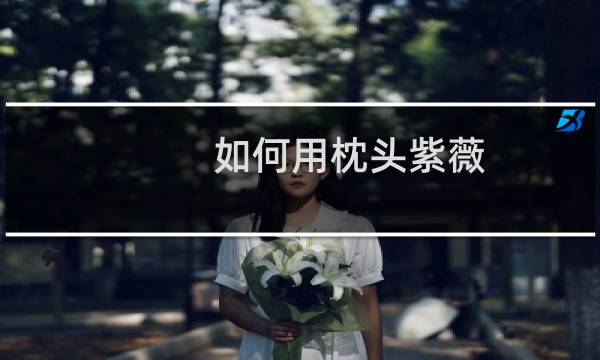 如何用枕头紫薇