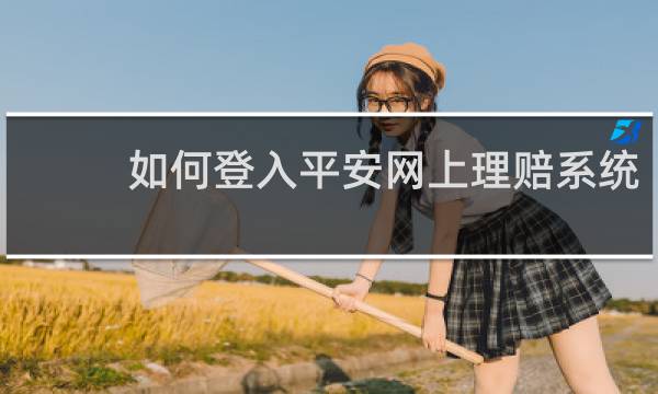如何登入平安网上理赔系统