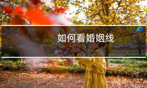 如何看婚姻线