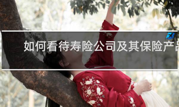 如何看待寿险公司及其保险产品