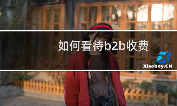 如何看待b2b收费