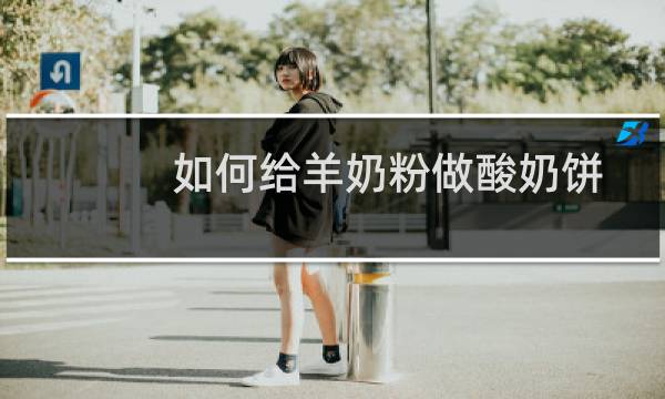 如何给羊奶粉做酸奶饼