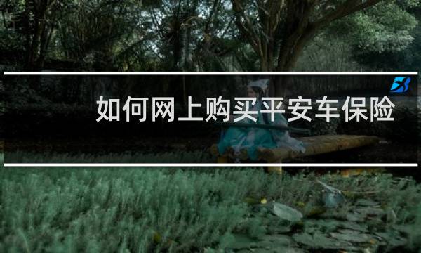 如何网上购买平安车保险