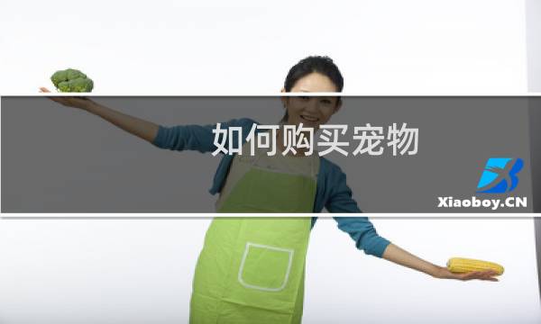 如何购买宠物