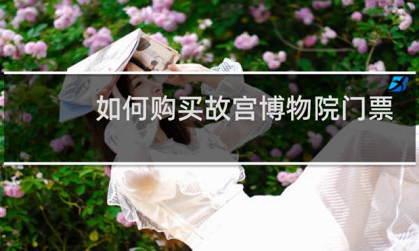 如何购买故宫博物院门票