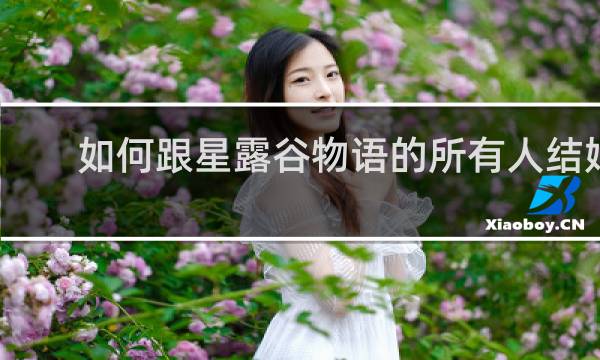 如何跟星露谷物语的所有人结婚