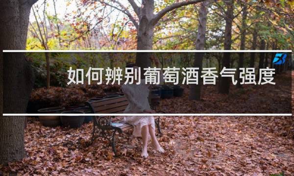 如何辨别葡萄酒香气强度
