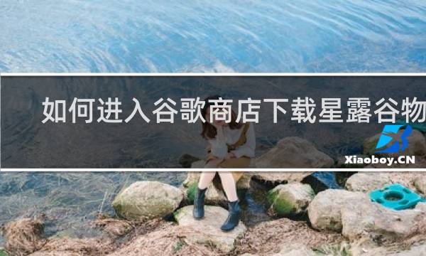如何进入谷歌商店下载星露谷物语