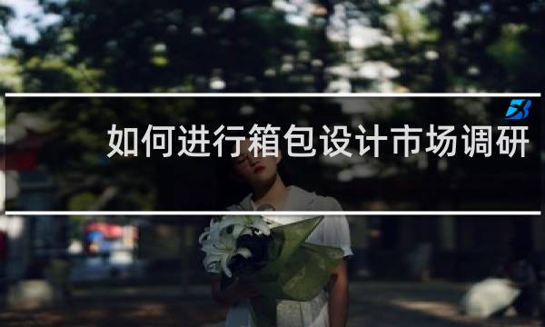 如何进行箱包设计市场调研