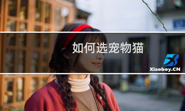 如何选宠物猫