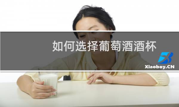 如何选择葡萄酒酒杯