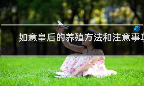 如意皇后的养殖方法和注意事项