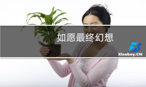 如愿最终幻想