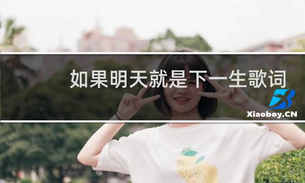 如果明天就是下一生歌词
