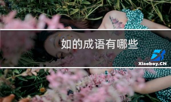 如的成语有哪些