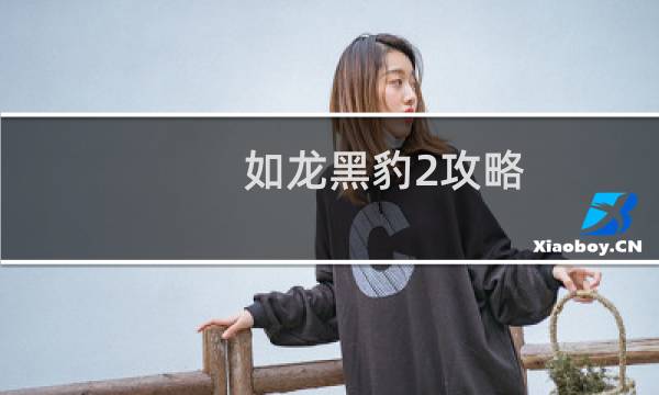 如龙黑豹2攻略