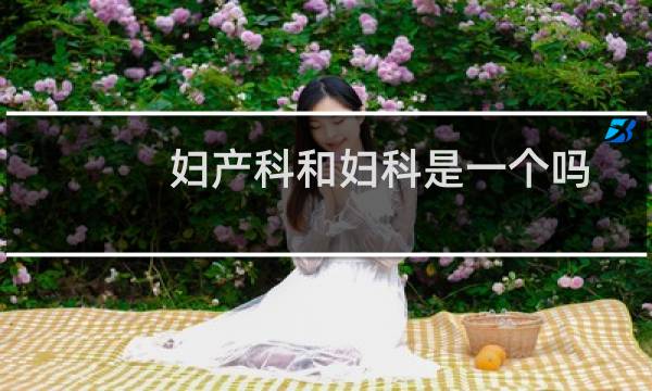 妇产科和妇科是一个吗