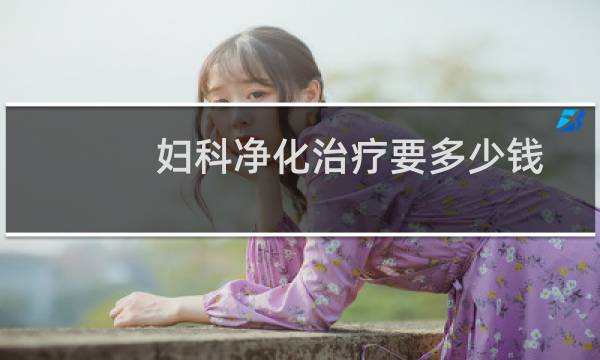 妇科净化治疗要多少钱