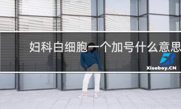 妇科白细胞一个加号什么意思