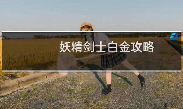 妖精剑士白金攻略