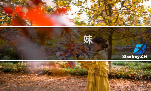 妹  中文攻略