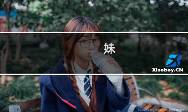妹 攻略