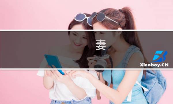 妻   攻略