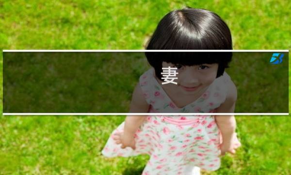 妻  的中文攻略