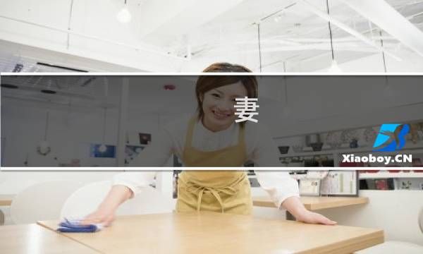 妻 个人攻略