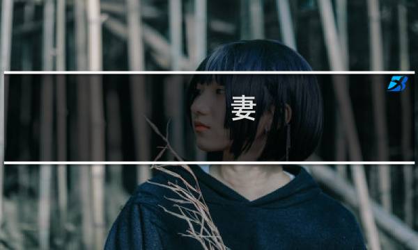 妻 双人攻略